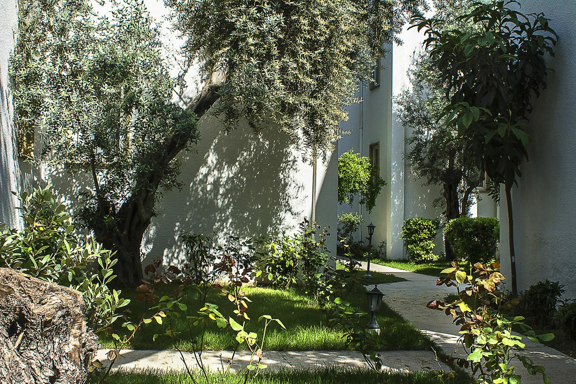 Hotel Princess Diltua Bodrum Ngoại thất bức ảnh